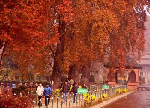 Autum Kashmir Elegence (5N / 6D) Sgr-Sgr