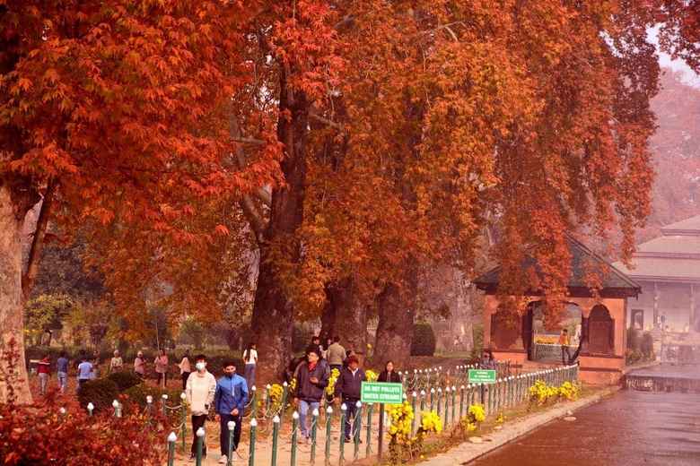 Autum Kashmir Elegence (5N / 6D) Sgr-Sgr - (39,500 PER COUPLE)