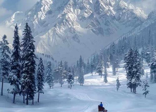 Kashmir Winter Package