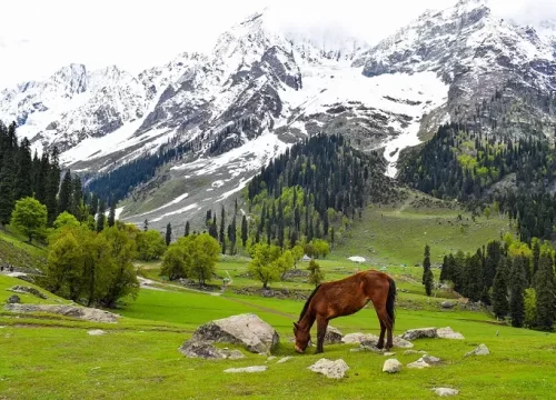 Srinagar Tour Package 6 Nights 7 Days