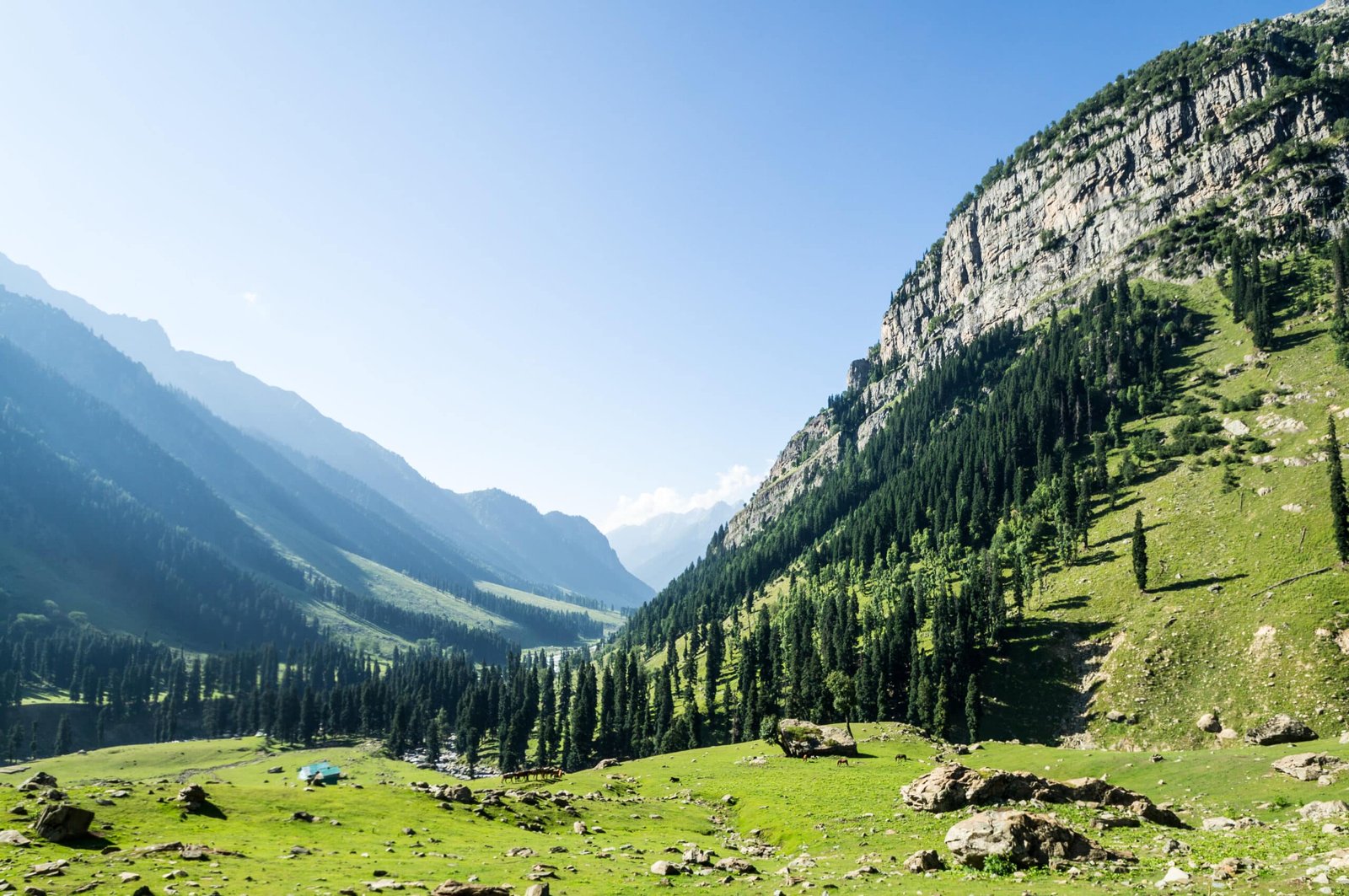 Scenic view of Lidder Valley with green meadows