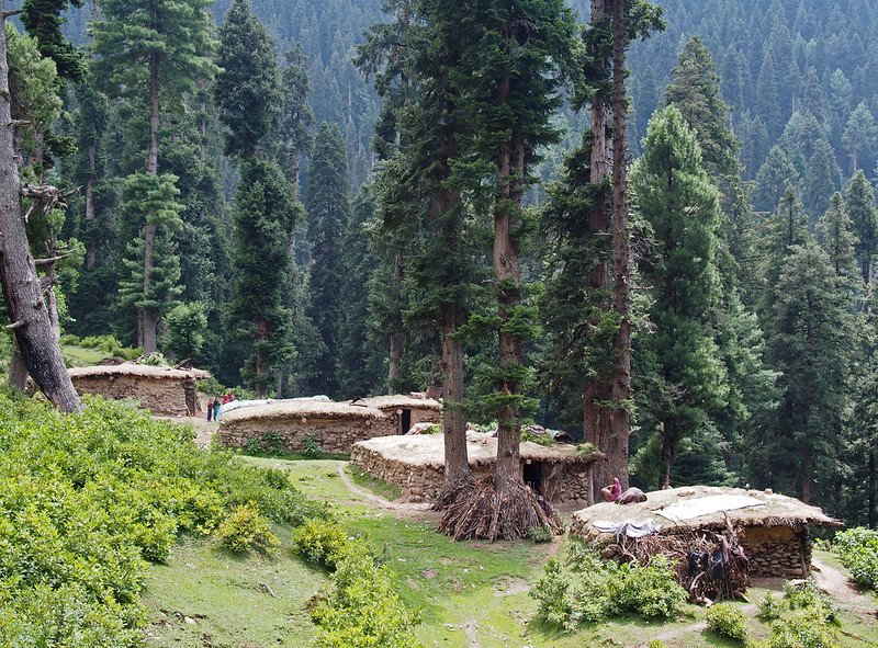 Stone huts in a dense forest village of Daksum Valley