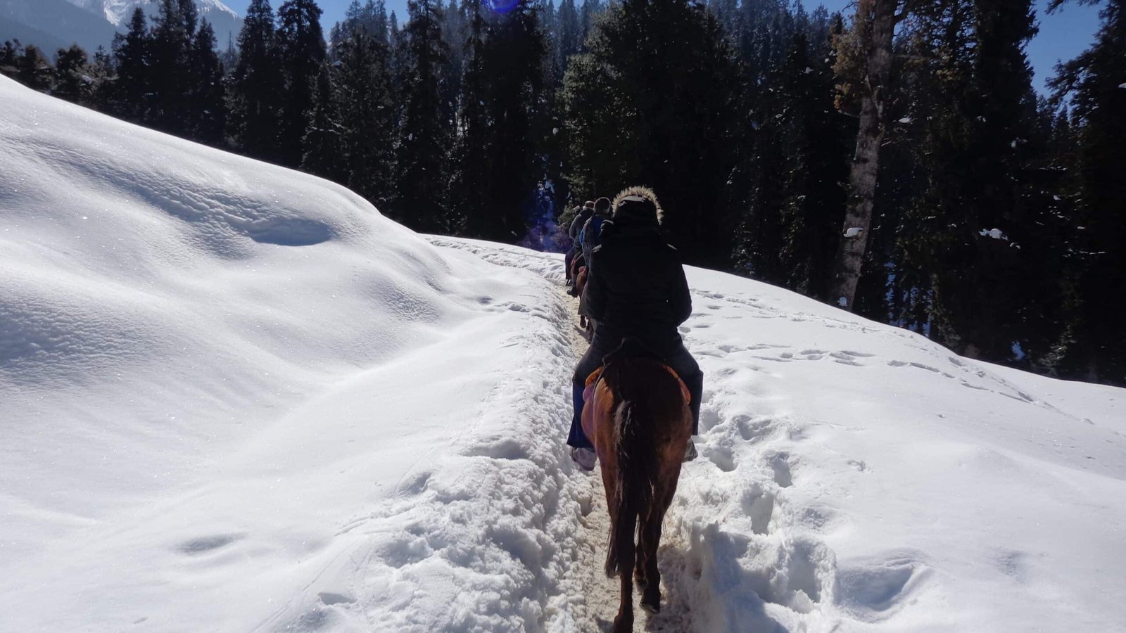 People riding horses through a snow-covered trail surrounded by dense pine trees during winter in pahalgam