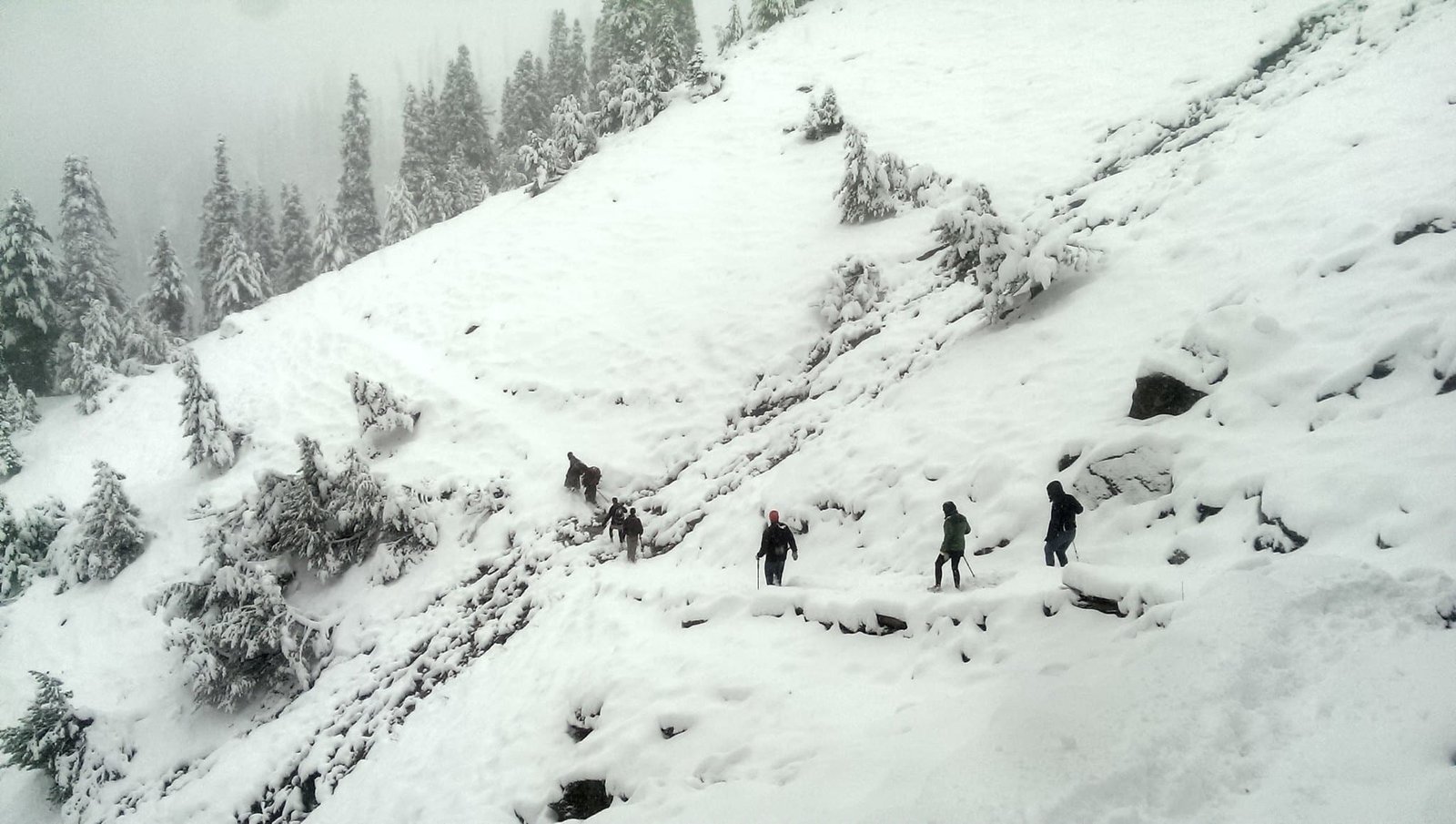 People trekking in snow-covered Marchoi Valley, Kashmir