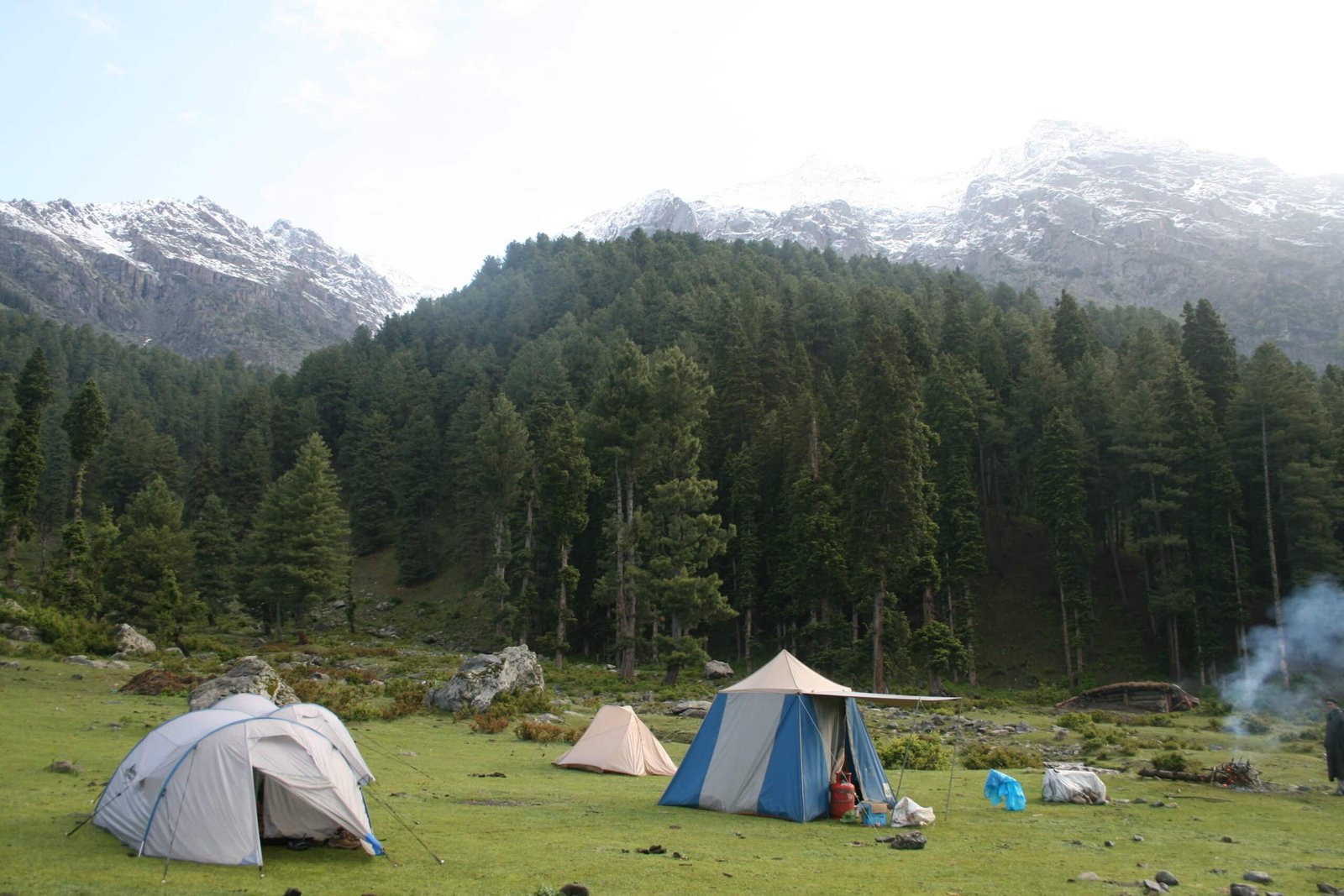Tents set up in a forested mountain campsite