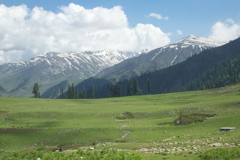 Scenic view of green meadows and snow-capped mountains under a partly cloudy sky in khilanmarg