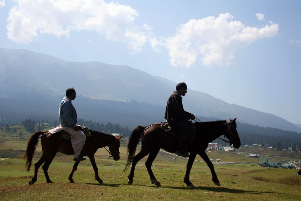 tourists are enjoying Pony Ride in kashmir