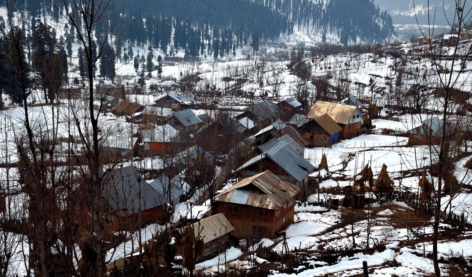 Pahalgam In January