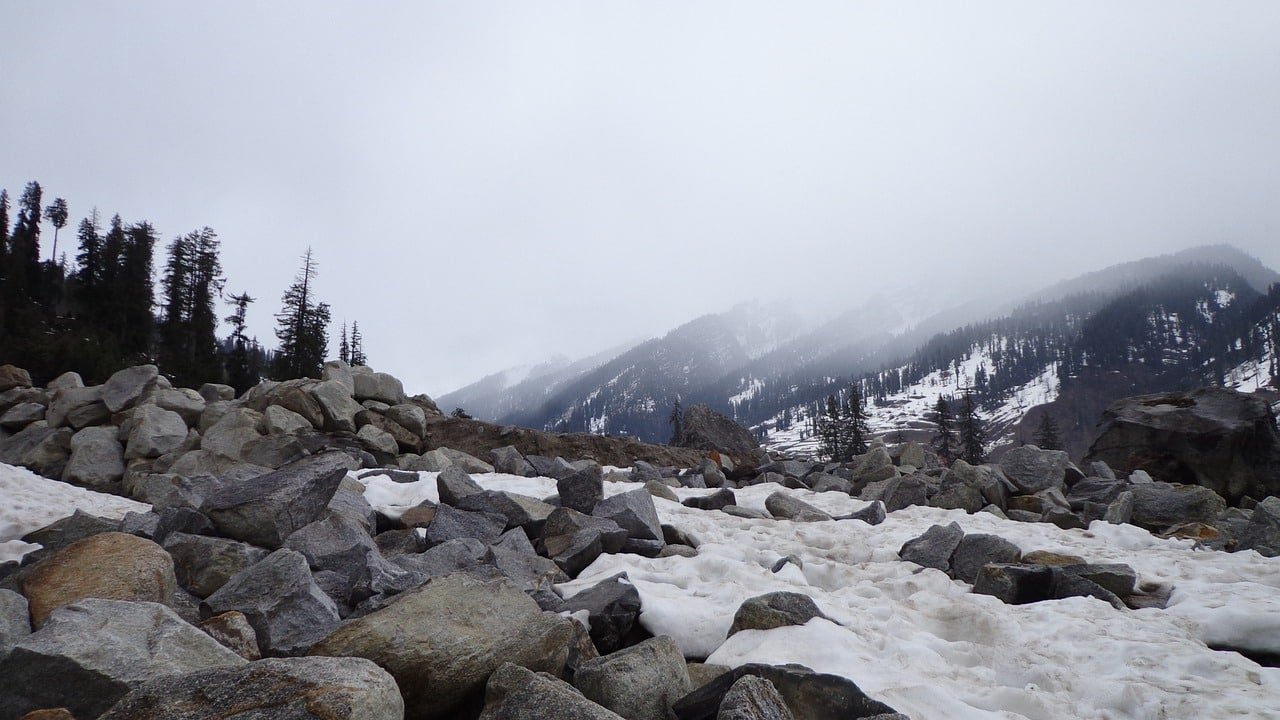Snow-covered rocks and pine trees in Manali mountains