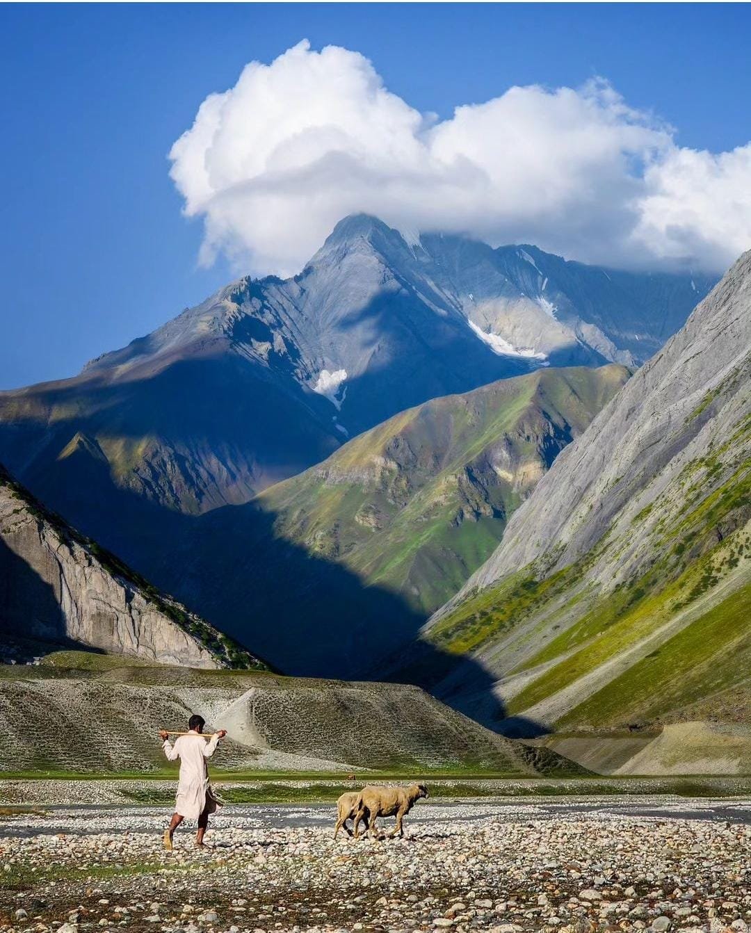 A shepherd walking in the Sukhnai Valley of Warwan