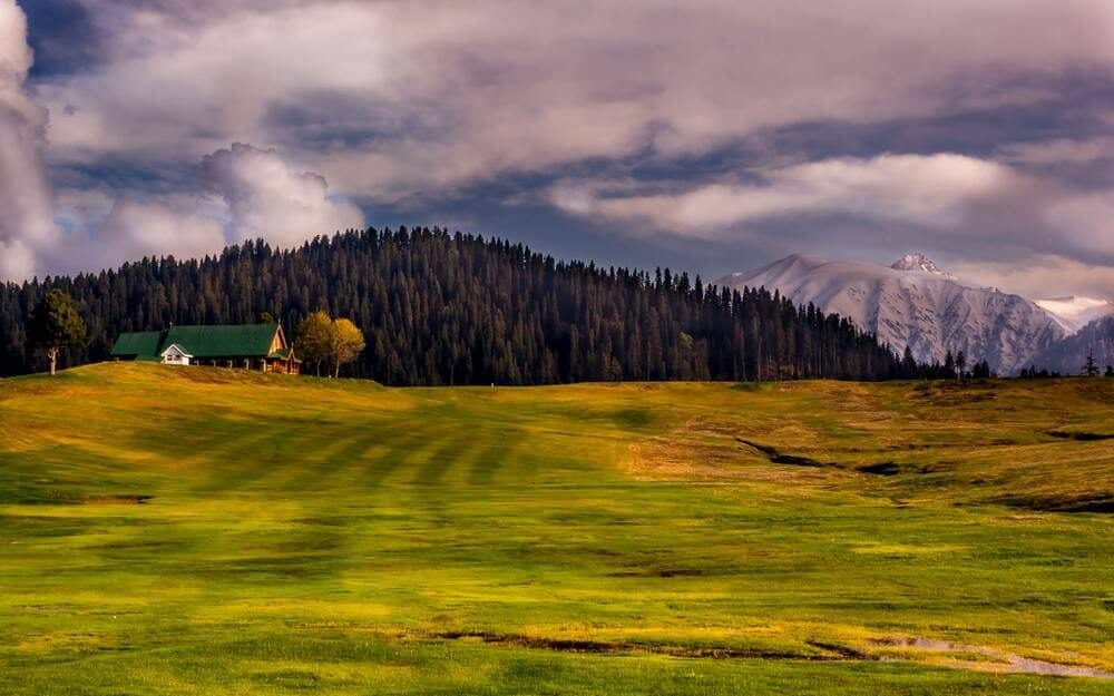 meadows of khilanmarg gulmarg