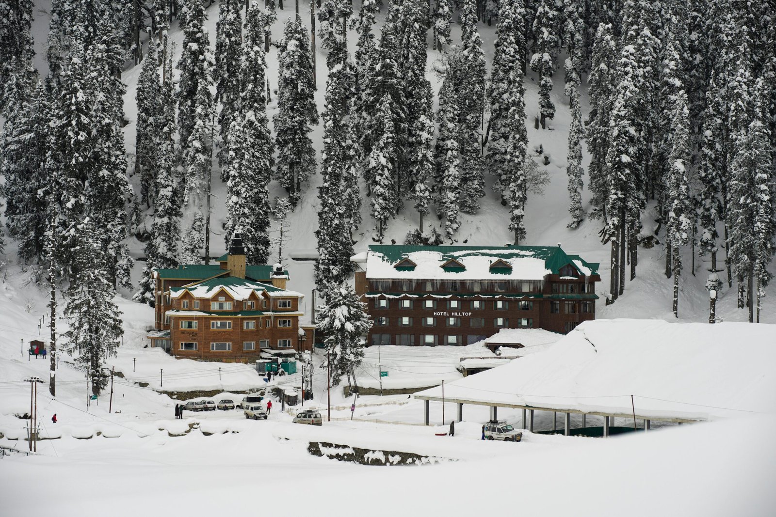 Snow-covered hotel in kashmir surrounded by pine trees