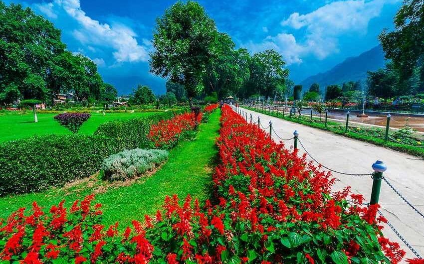 Beautiful Shalimar Garden with vibrant red flowers and mountains in kashmir