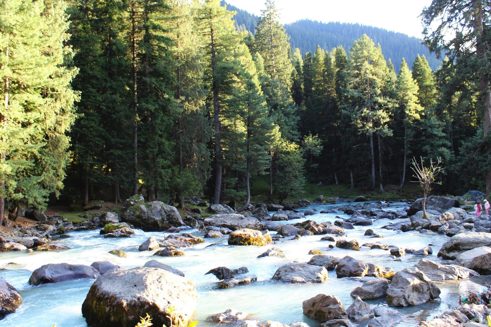 pahalgam sightseeing