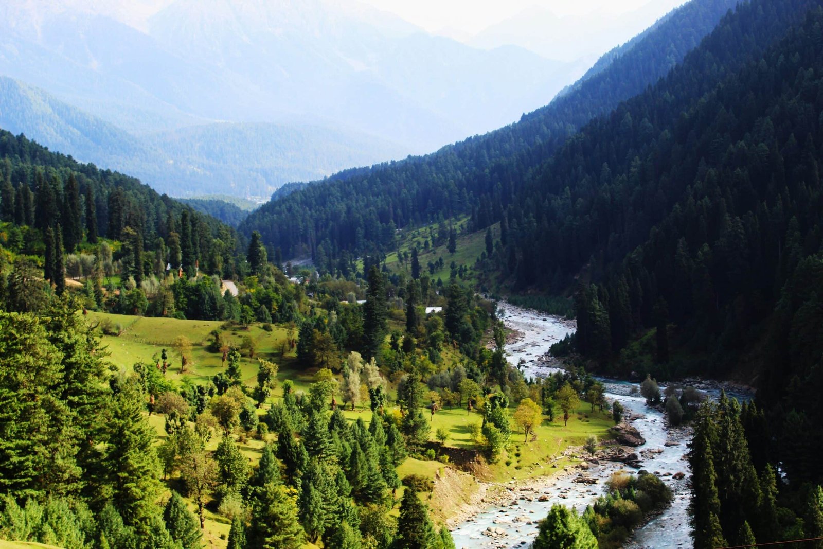 River flowing through the green forest valley of Pahalgam, Kashmir
