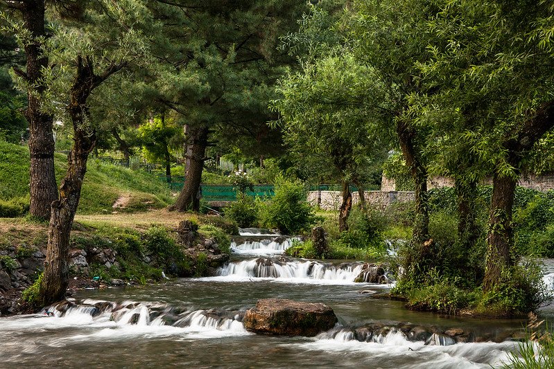Small stream flowing through trees in a park during spring in kokernag