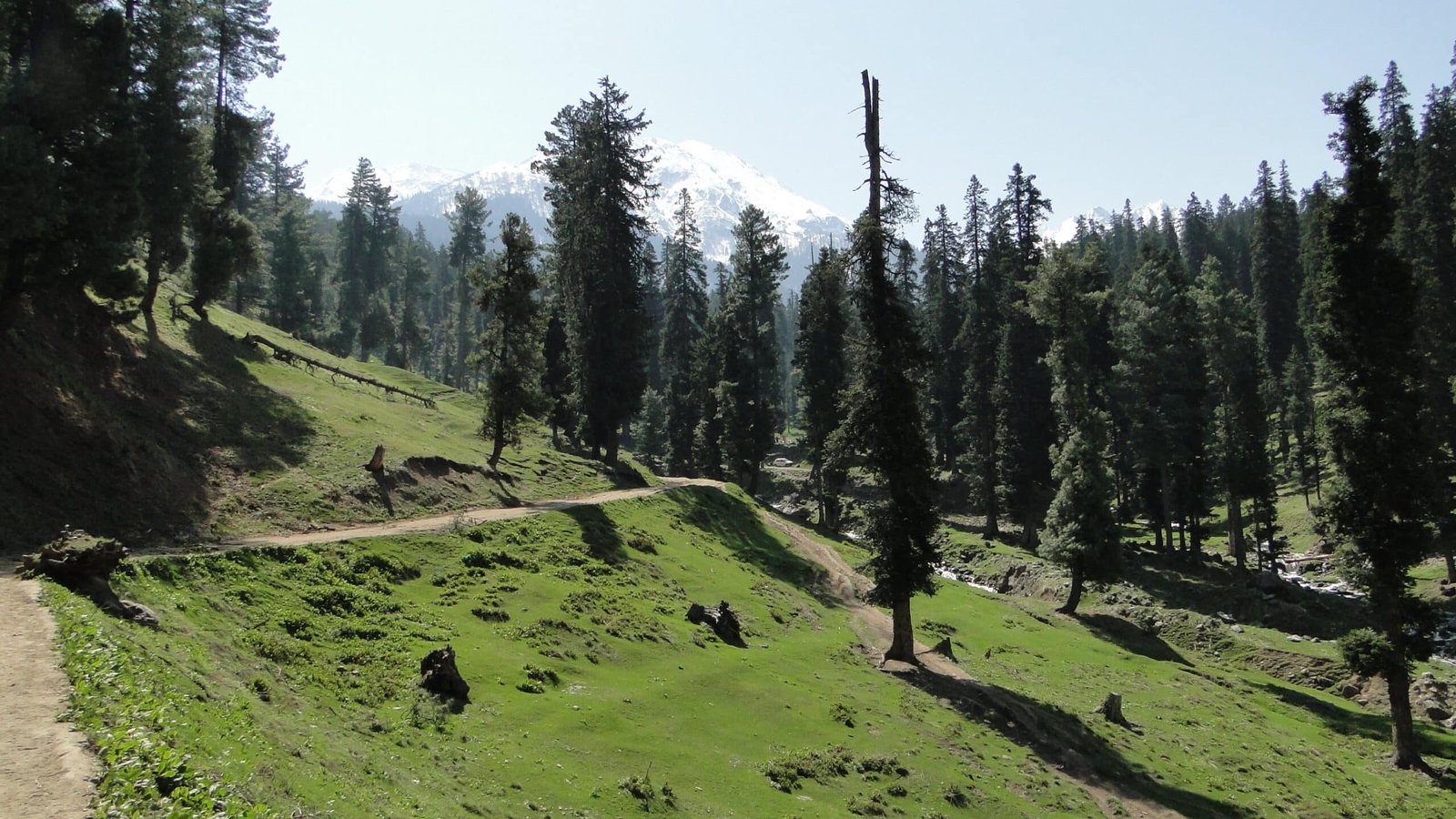 Baisaran is a serene valley with green meadows, tall pine trees and a peaceful mountain view