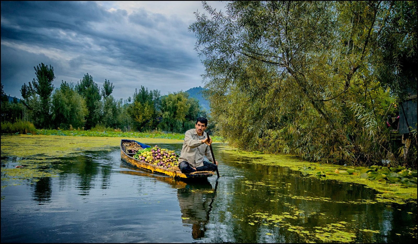 Man rowing a boat full of apples on dal lake.