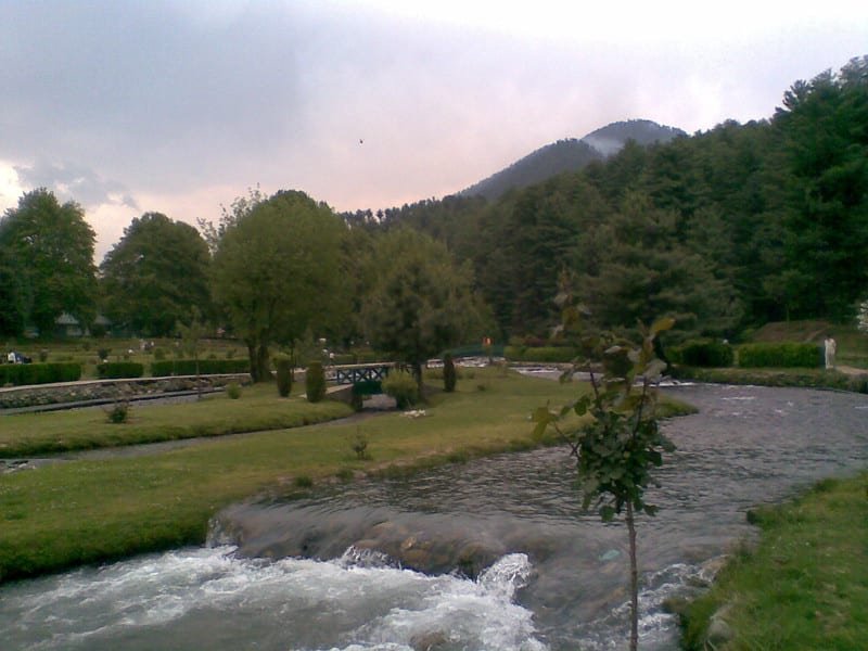 River flowing through a green park with trees and mountains in kokernag kashmir