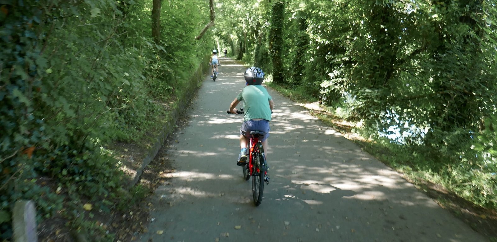 Kids cycling on a shaded path surrounded by green trees