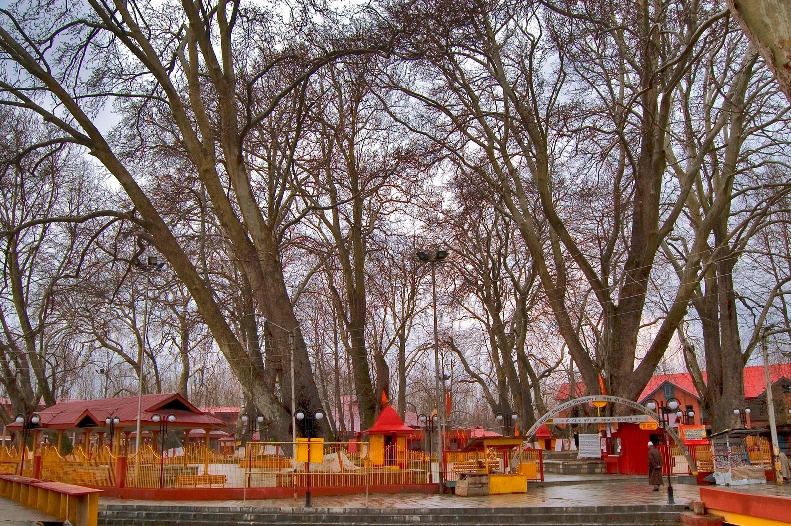 kheer bhawani Temple surrounded by tall leafless trees and red rooftops