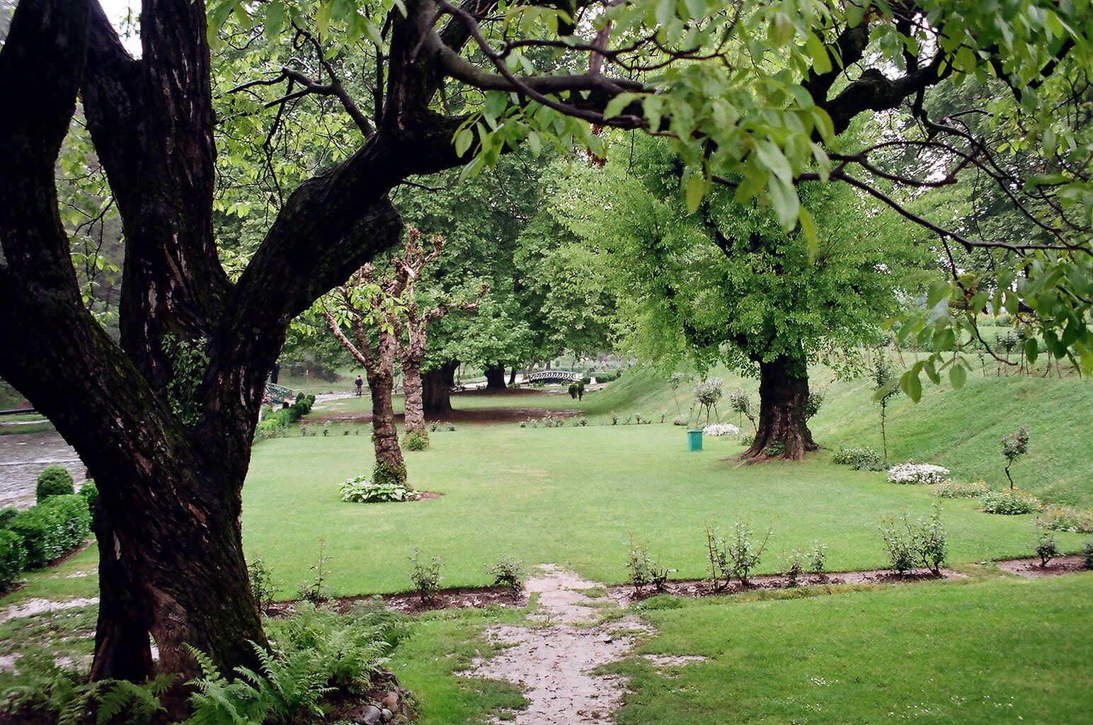 Beautiful Garden in gulmarg