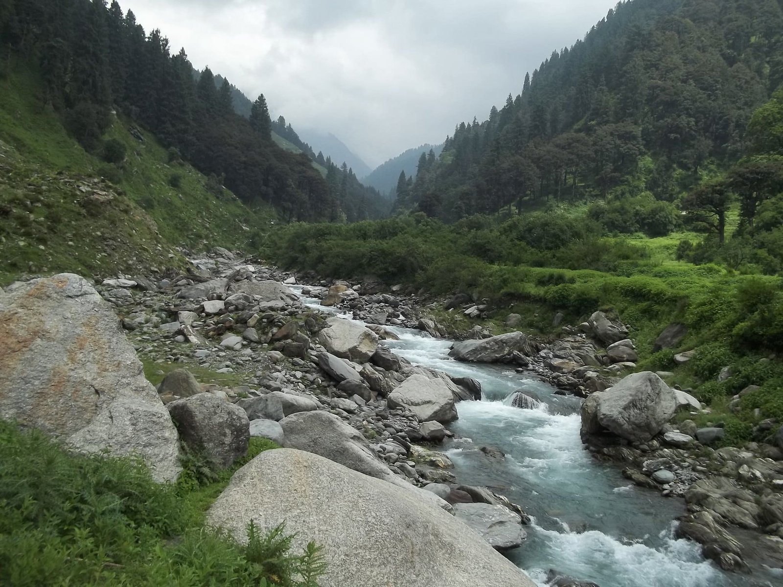 Rocky stream flowing through lush green hills in Kangra Valley, Manali