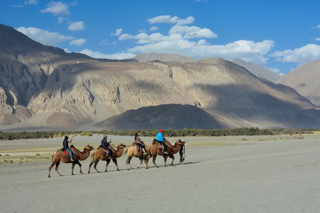 People riding camels in the Nubra Valley desert in ladakh
