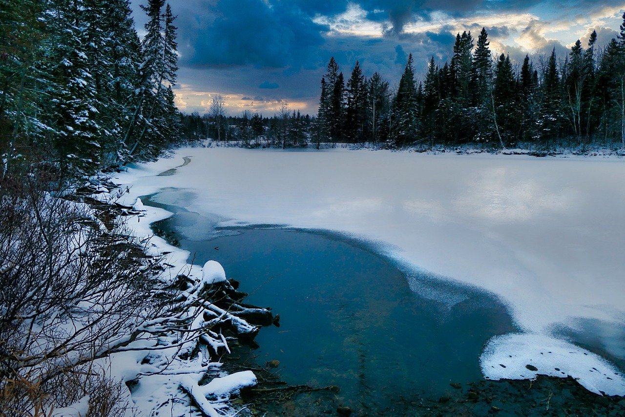 Snow-covered lake with pine trees and dramatic cloudy sky in ladakh