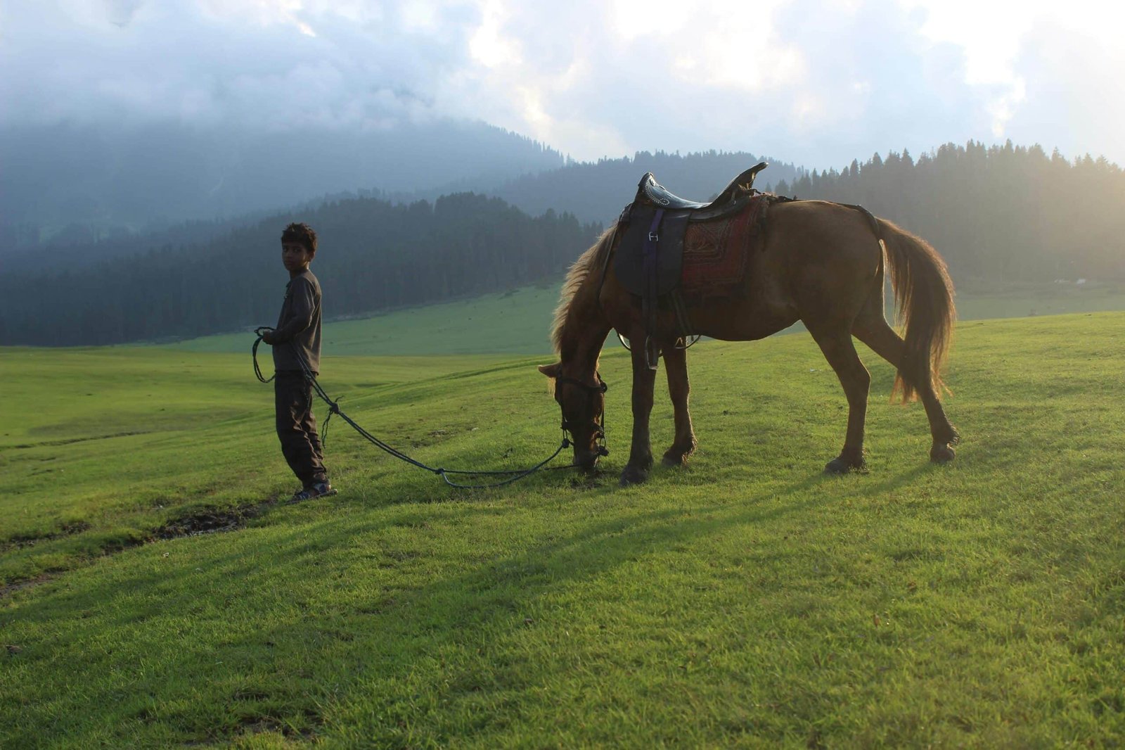 Boy holding a horse in a green meadow with mountains in the background