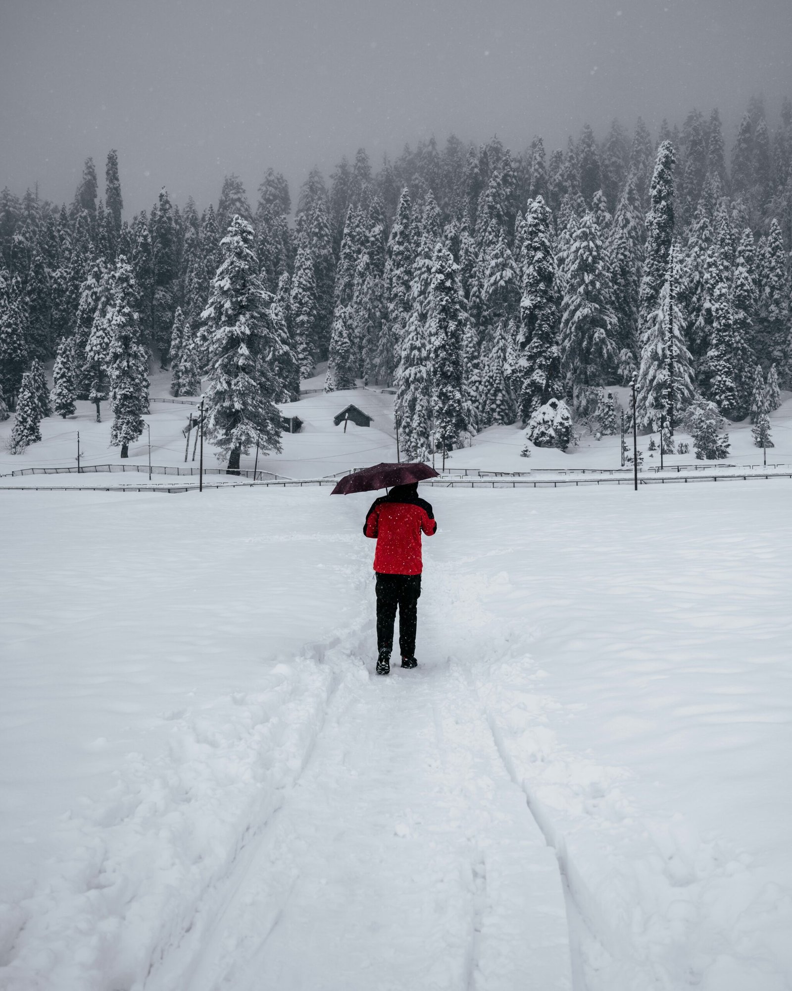 Person walking with an umbrella in snowy forest