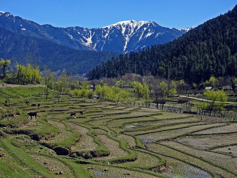 Lolab Valley