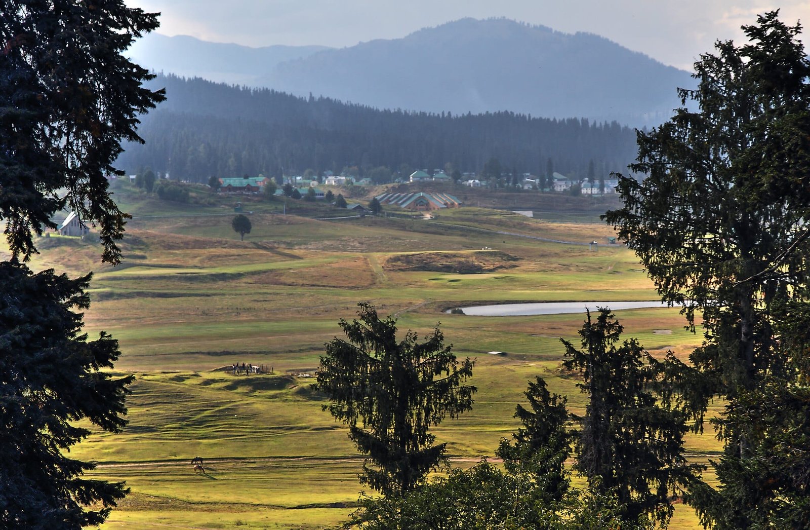 panoramic views of gulmarg meadows with pine trees and distant hills