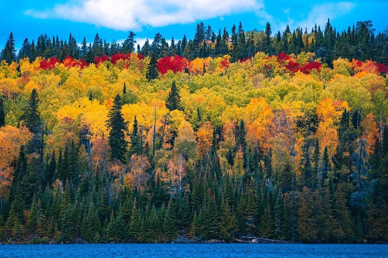 Colorful autumn trees near a blue lake in Gulmarg
