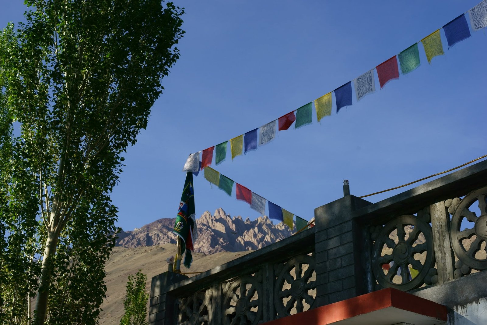 Mountain valley with a stream and green trees surrounded by rocky cliffs in Ladakh