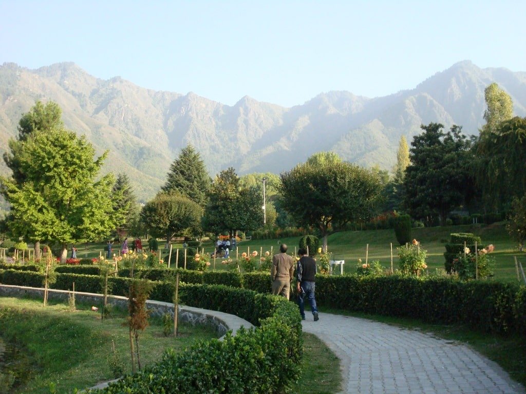 Jawaharlal nehru botanical garden kashmir