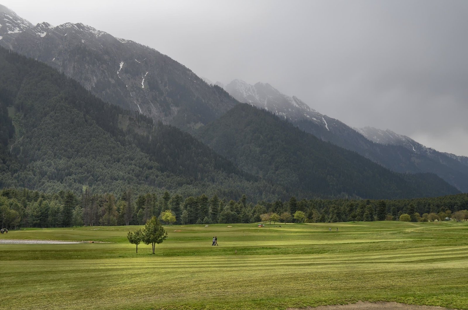 A lush green golf course with scattered trees in Pahalgam