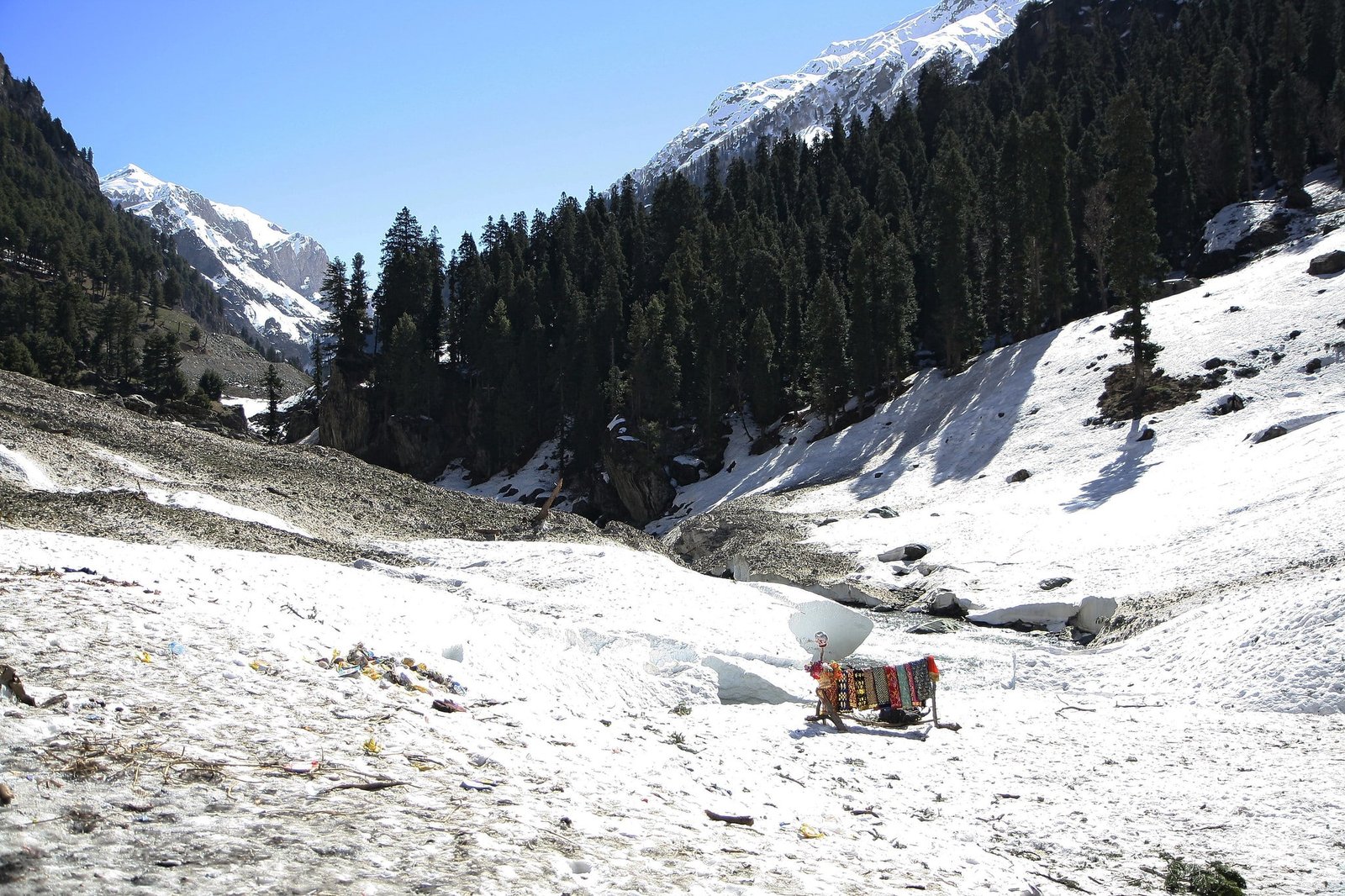 Snowy mountain valley with pine trees and a colorful vendor stall under a clear blue sky in Chandanwari