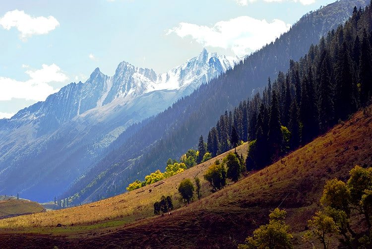 Majestic autumn season landscape of Sonmarg in Kashmir