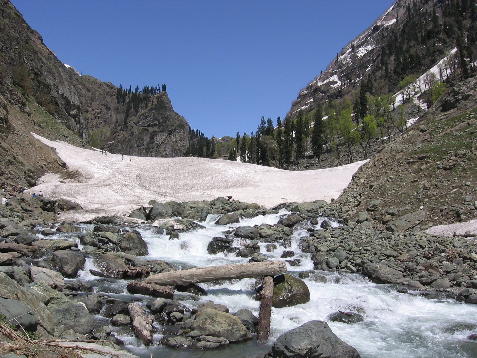Lidder River flowing over rocks with snow-covered slopes and pine trees