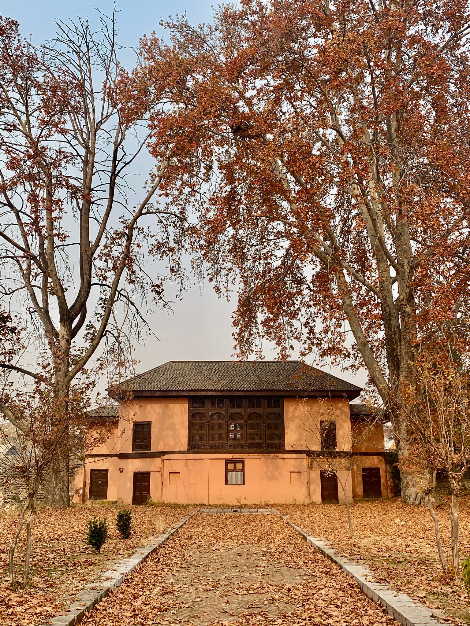 Historic building in Shalimar Bagh surrounded by tall Chinar trees and fallen autumn leaves.