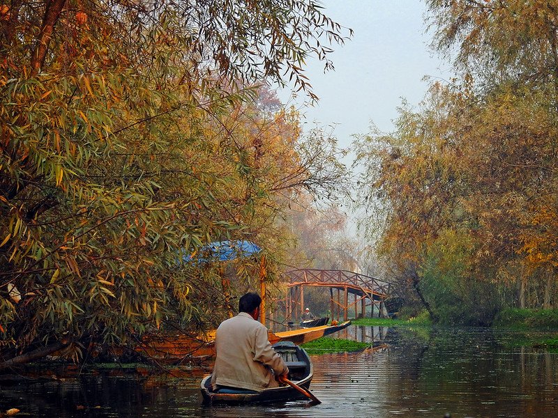 Man rowing a traditional wooden shikara on Dal Lake in Kashmir in october