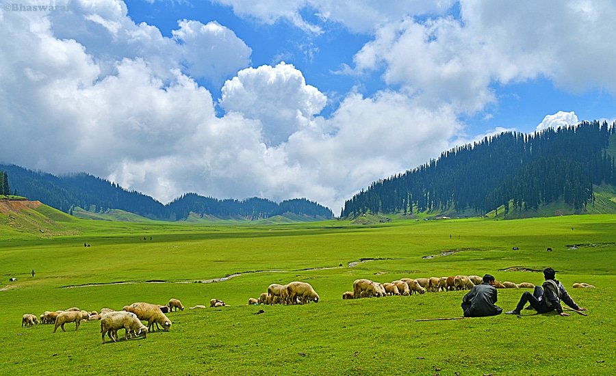Trekking in Lolab Valley