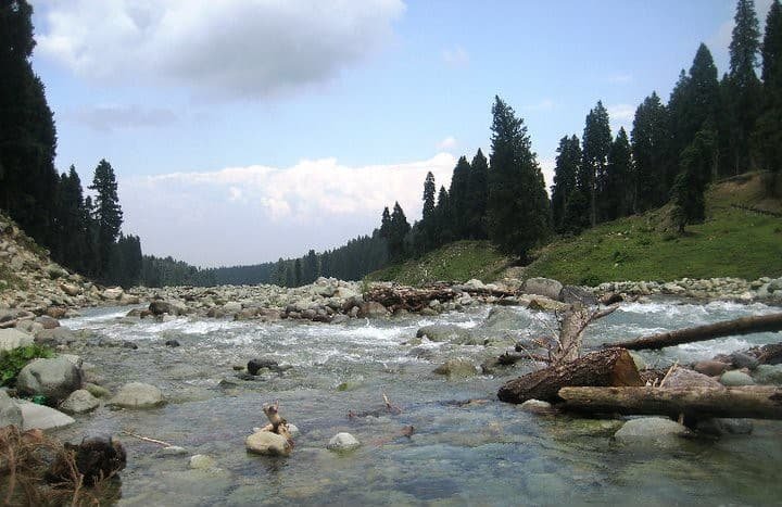 Shaliganga River flowing through a rocky, forested valley