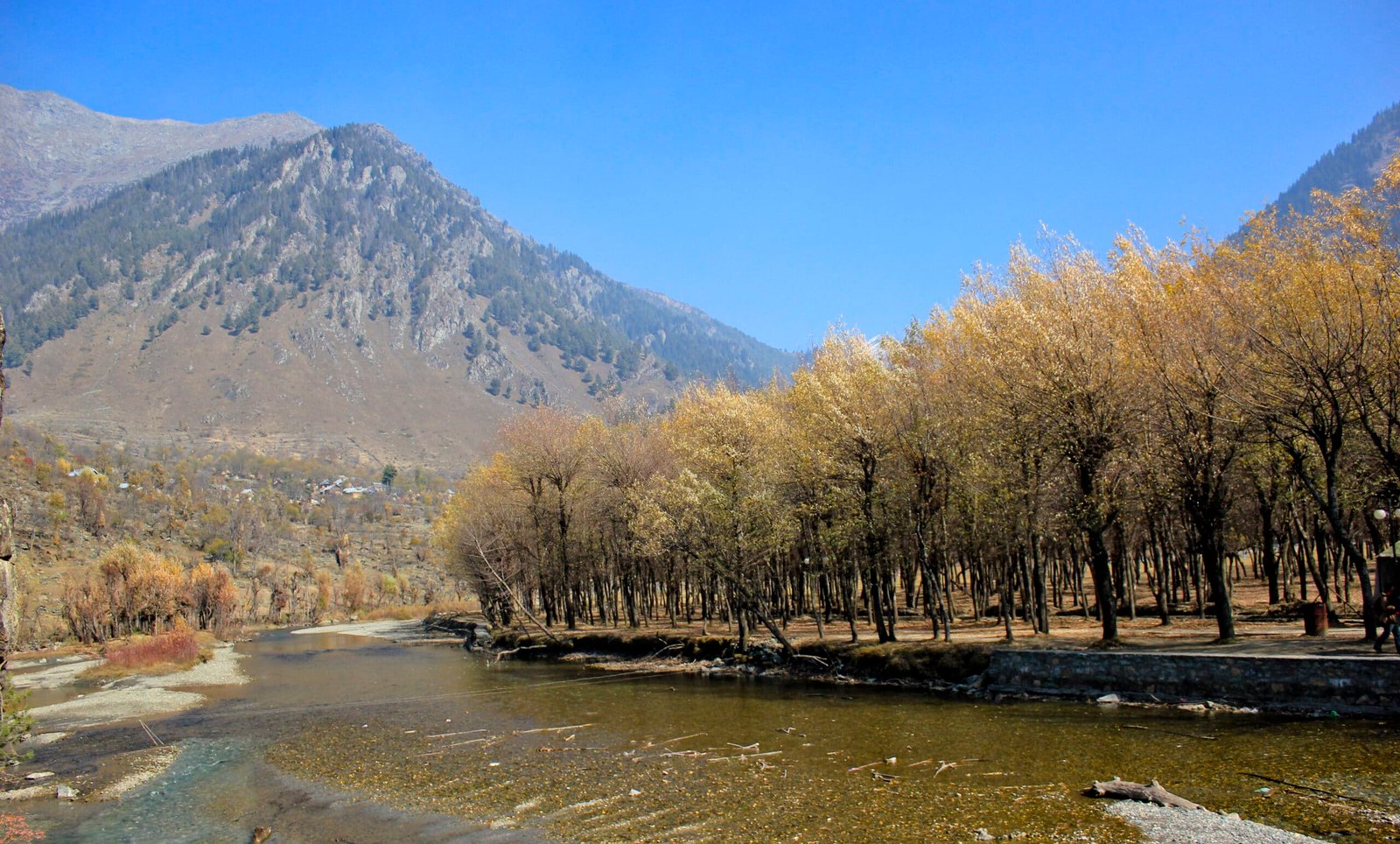 Scenic view of Betaab Valley in Kashmir featuring a shallow river flanked by golden autumn trees