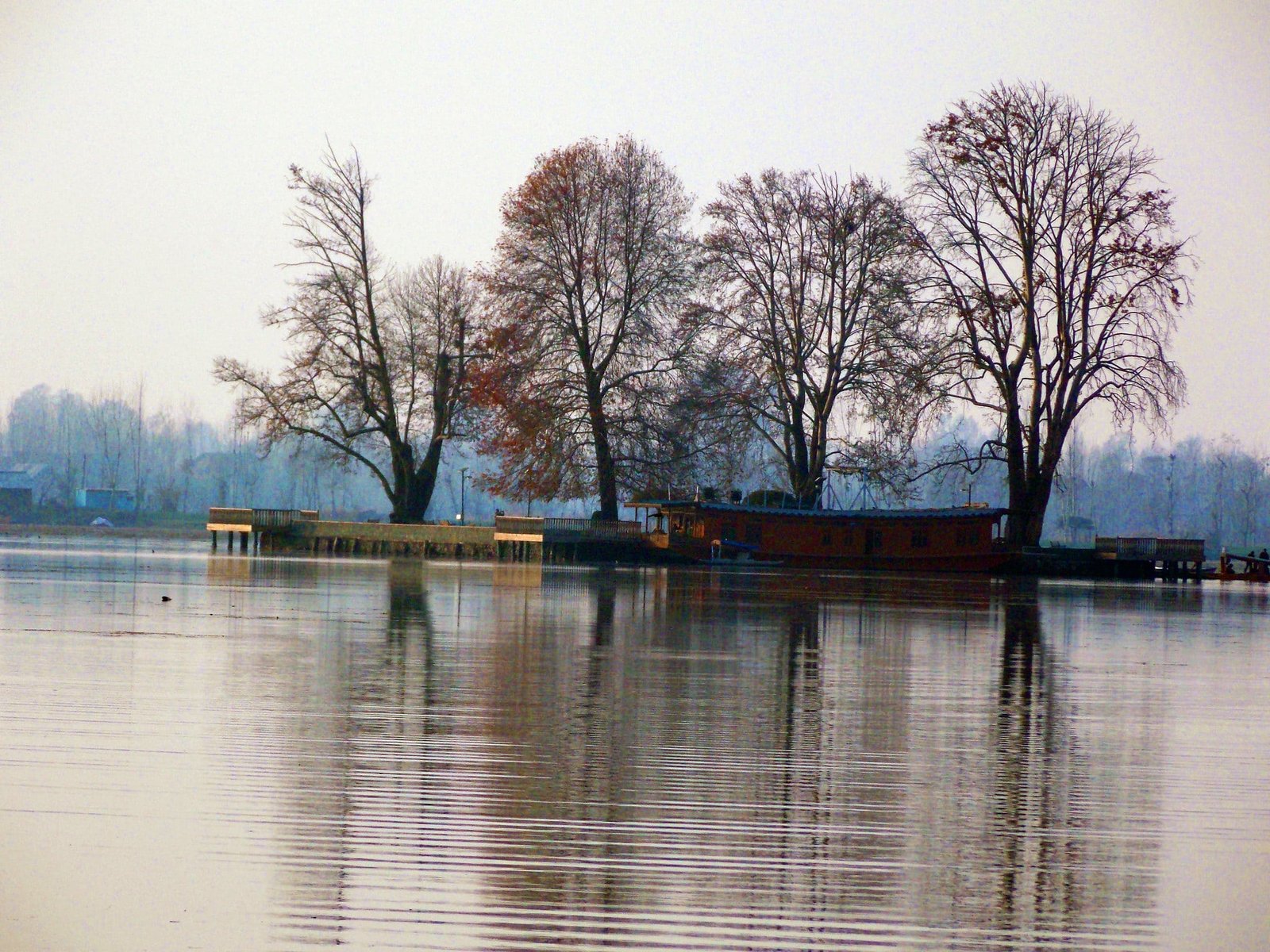 Houseboat near tall trees on Char Chinar island in Dal Lake