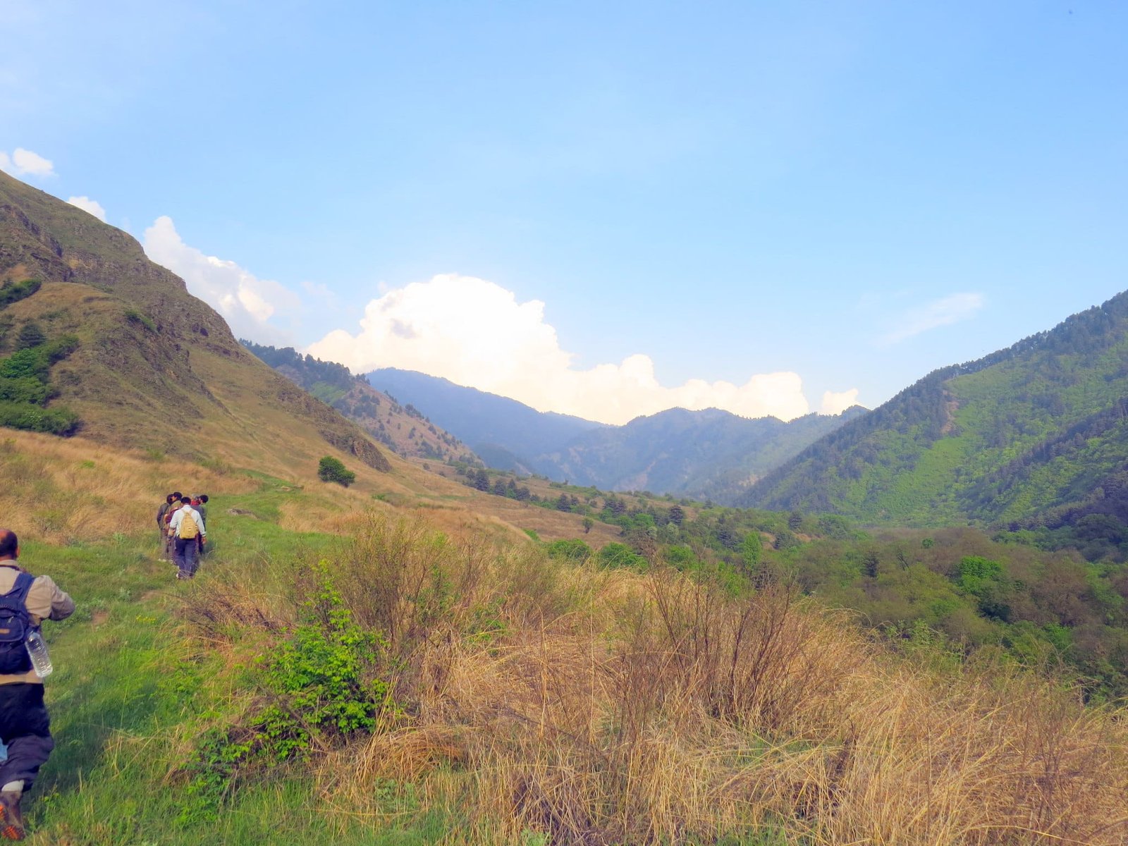 dachigam hike to experience autumn colour