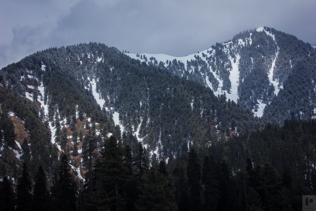 Snow-covered pine forest on a mountain under a cloudy sky