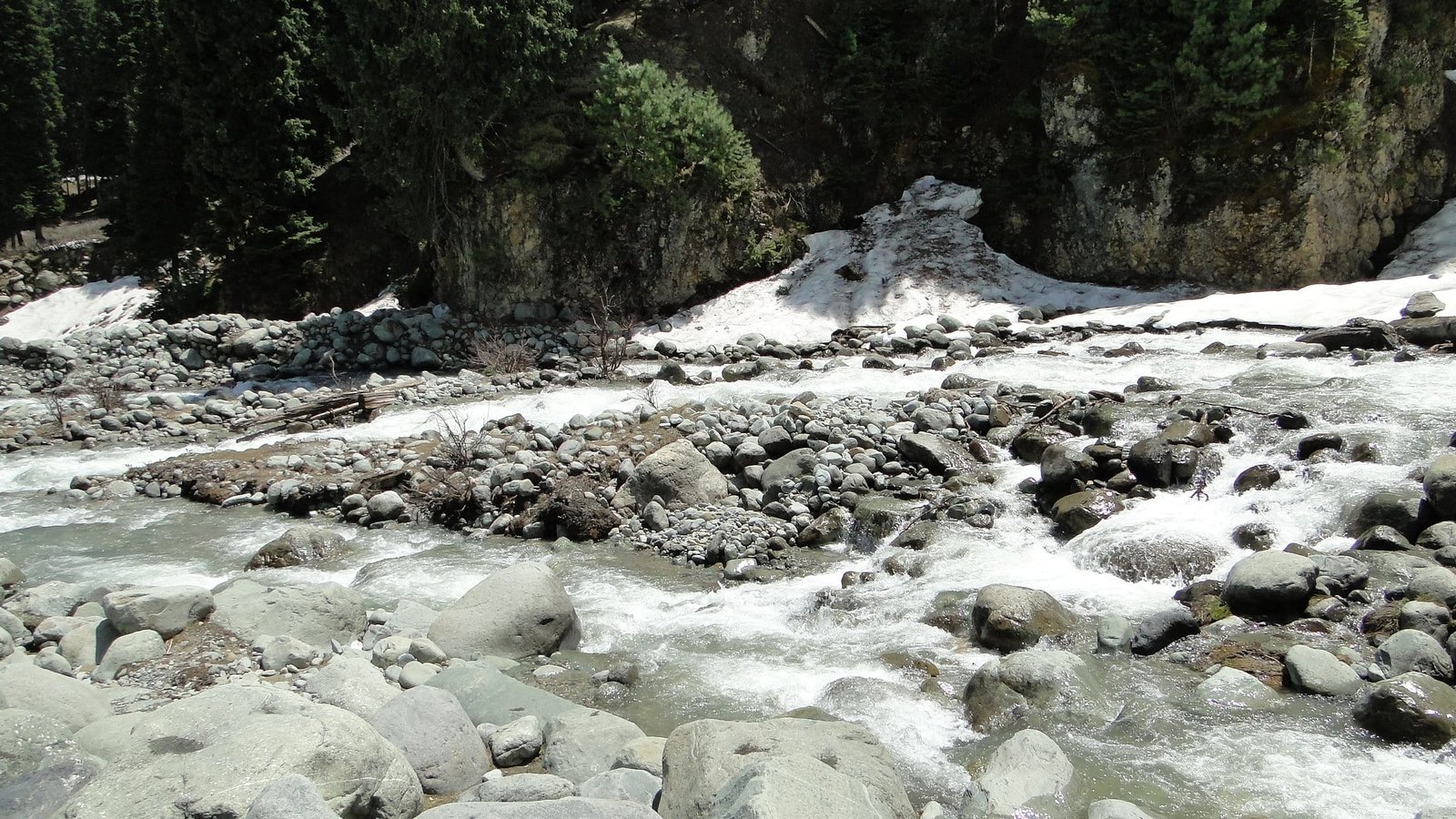 Mountain stream with snow patches, surrounded by rocks and pine trees