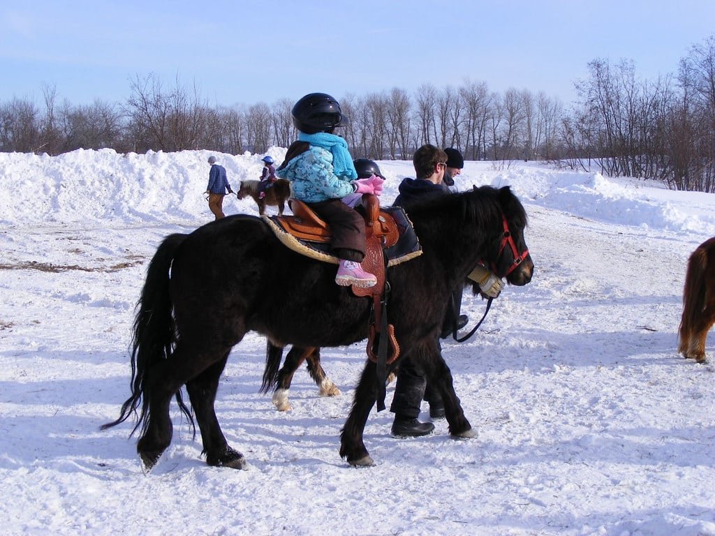 Children enjoying pony rides in Gulmarg's winter